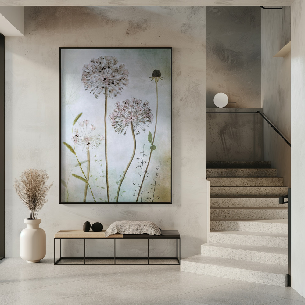 Poster - Allium im Eingang