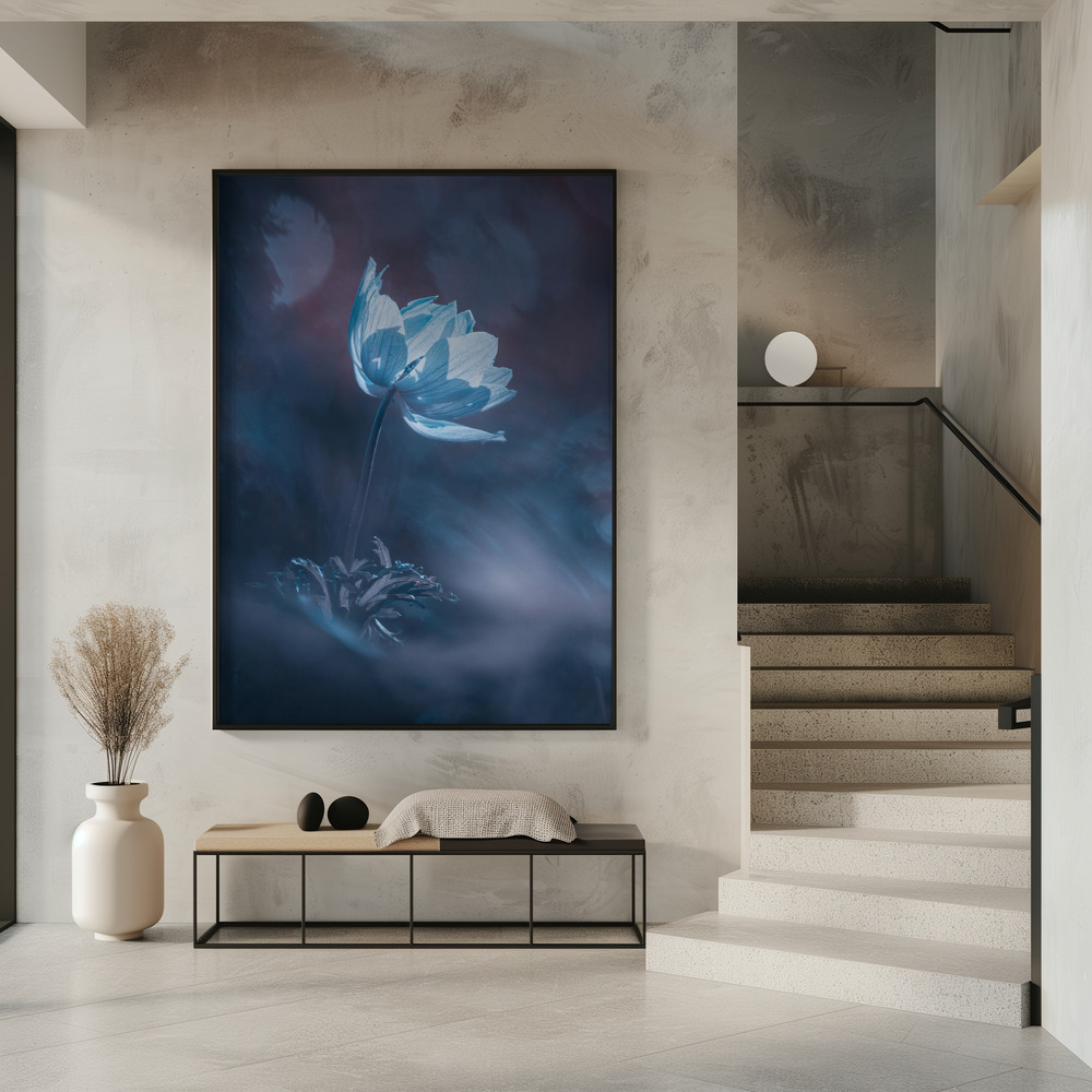 Poster Dream on - Affisch i entré