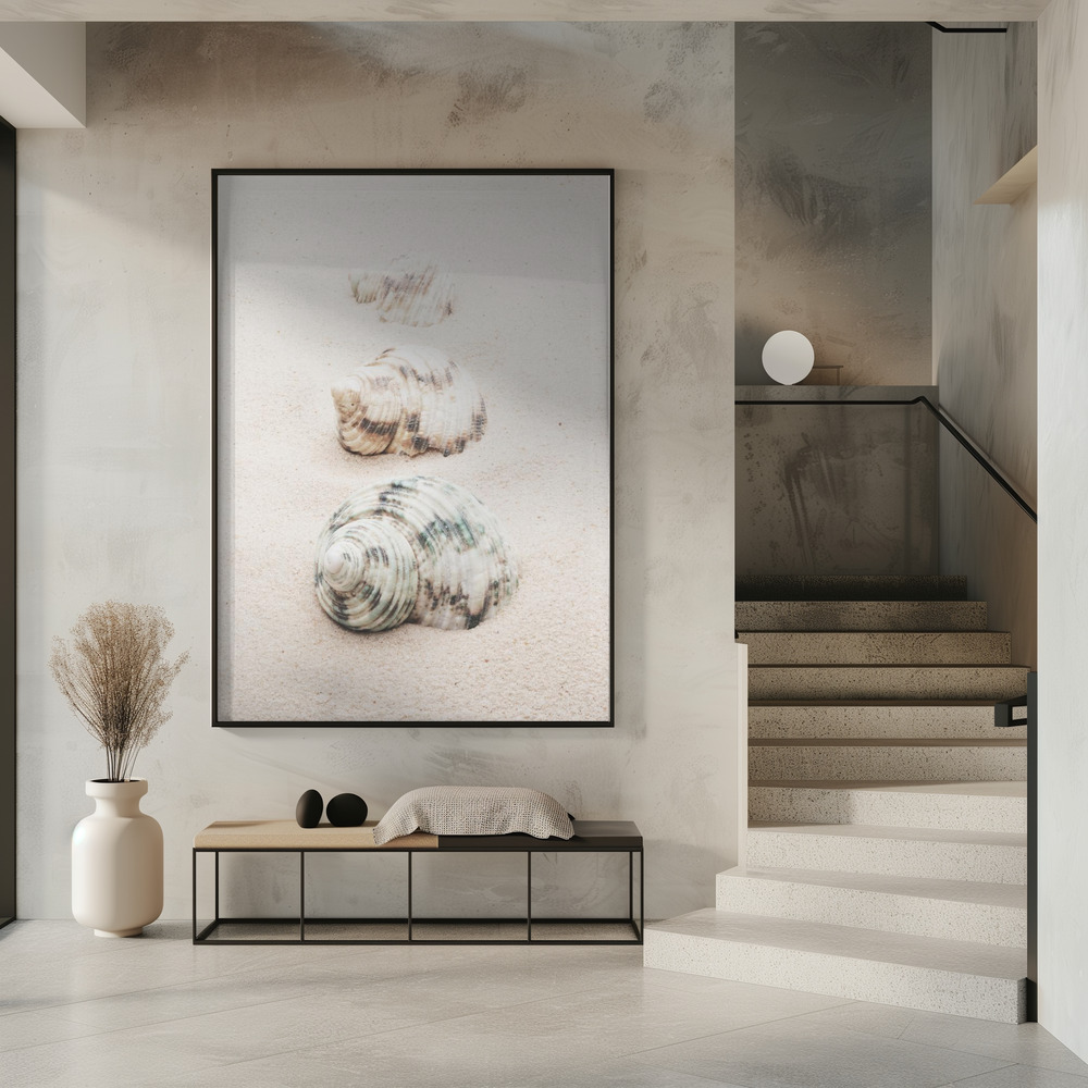 Poster - Shells in entrance