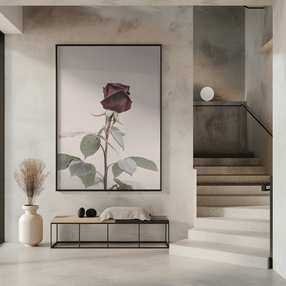 Poster - Rose in entrance
