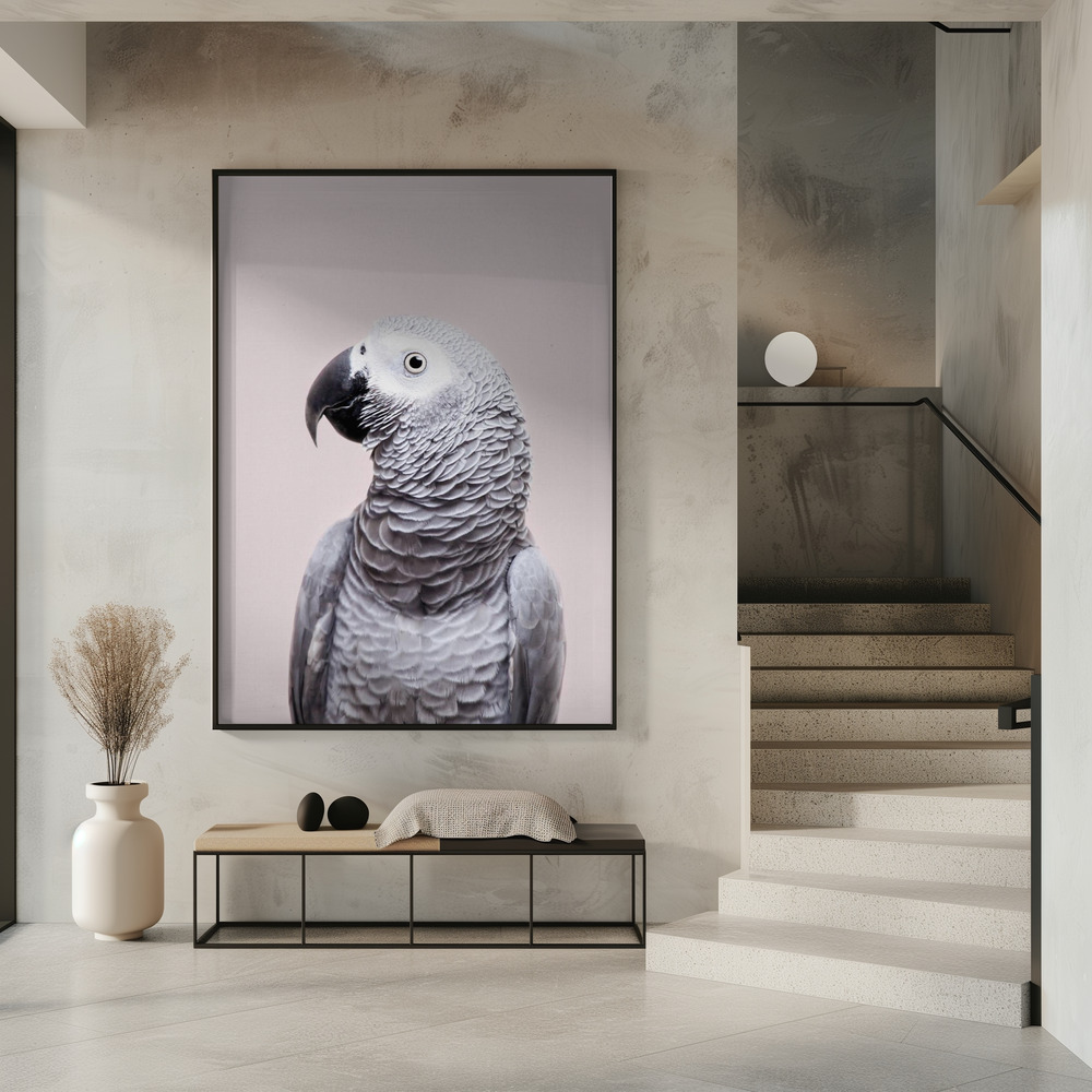 Poster - African Grey in entrance
