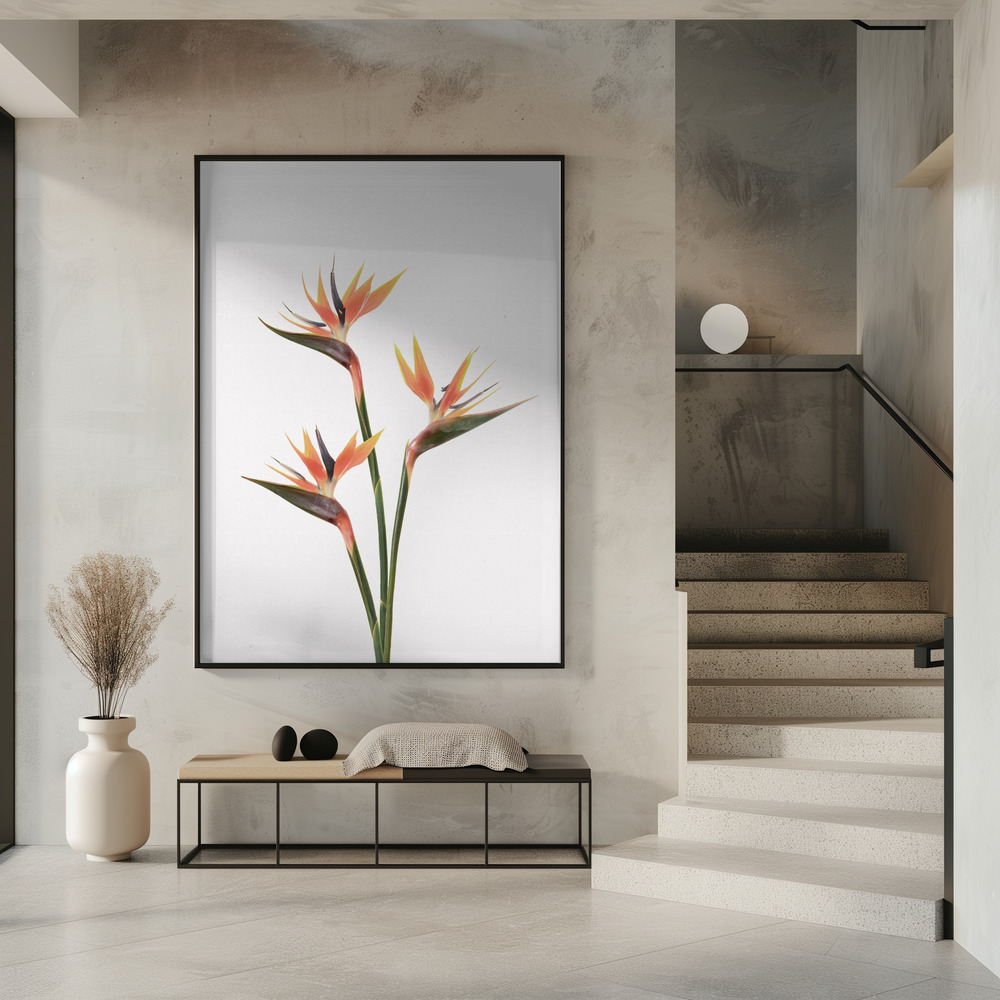 Plakat - Birds of Paradise i indgangen