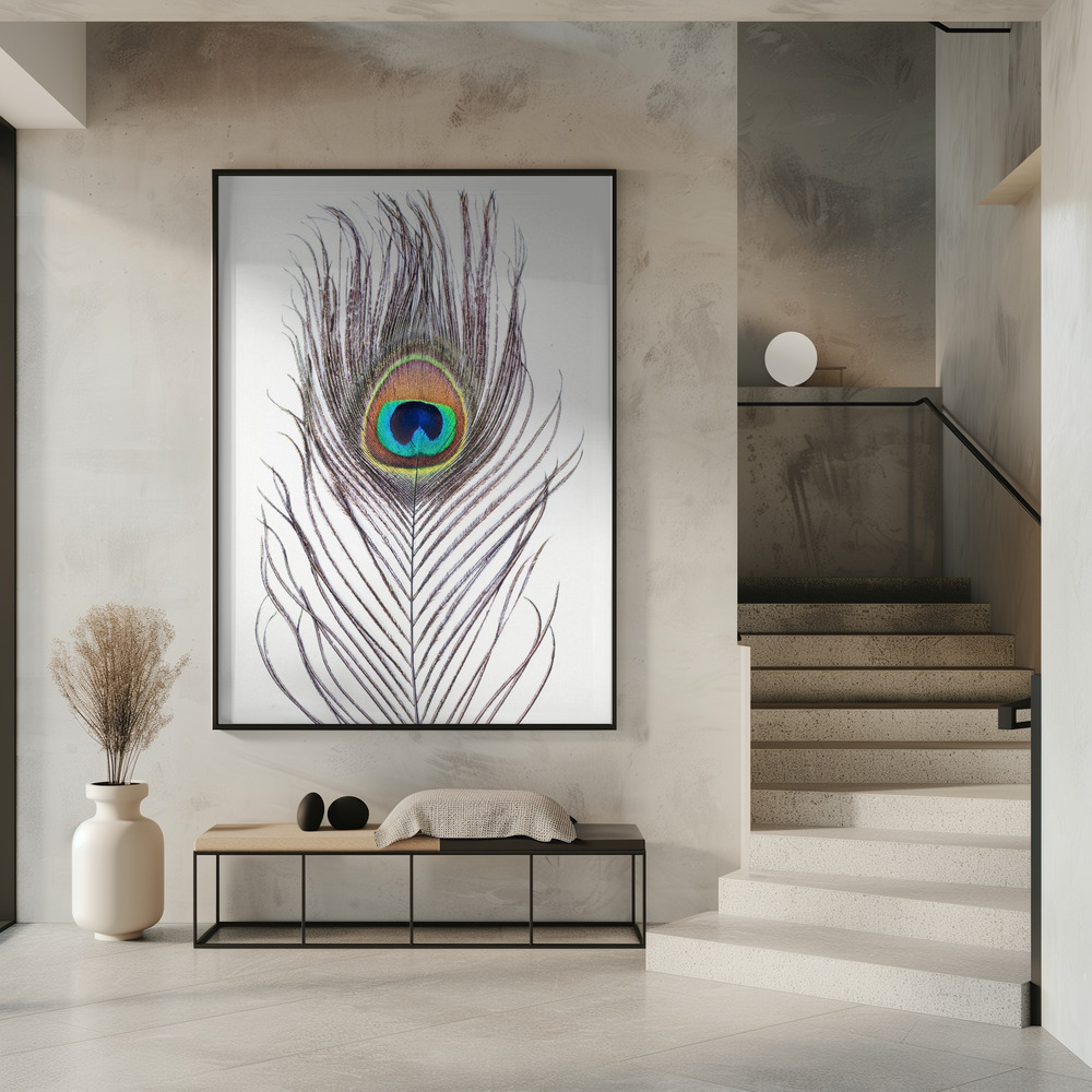Poster Peacock Feather - Affisch i entré