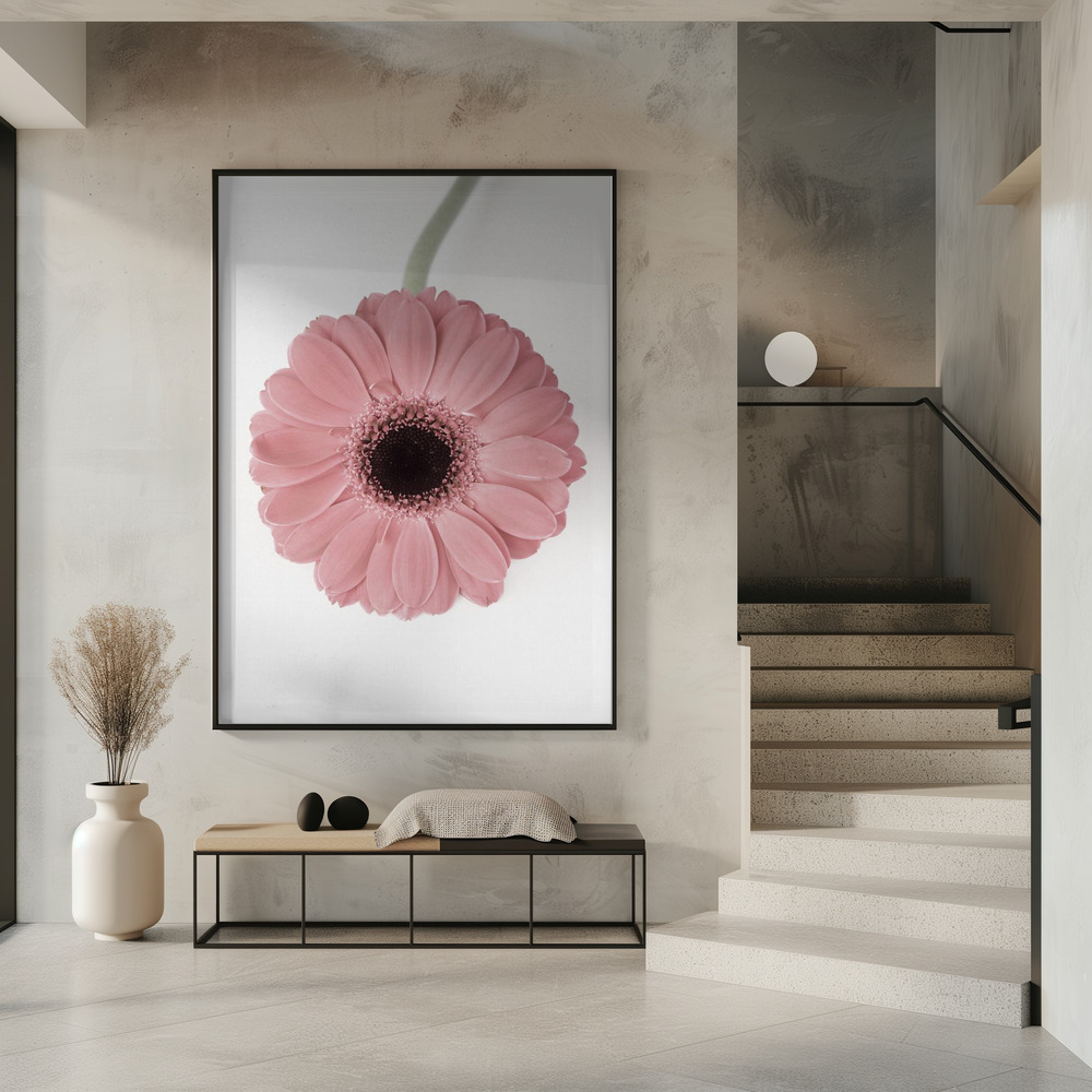 Poster Pink Gerbera II - Affisch i entré