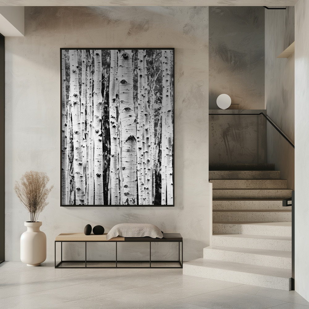 Poster - Birches in entree