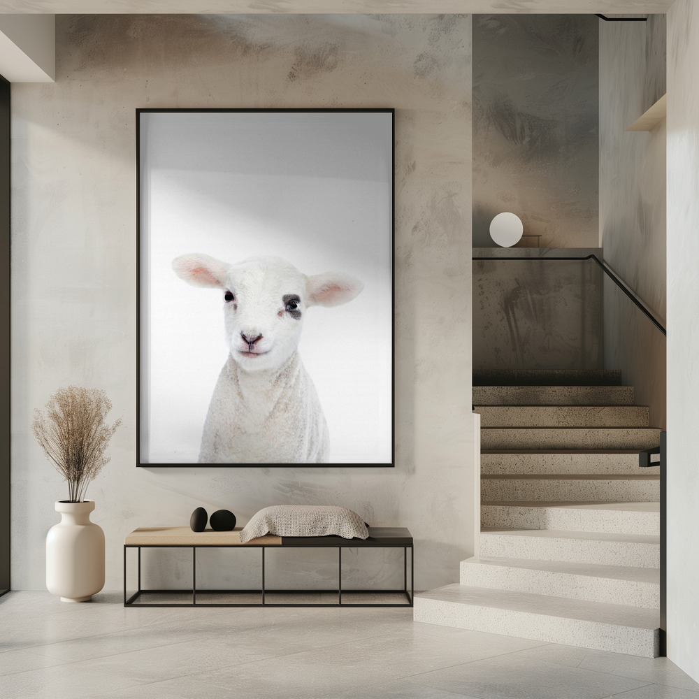 Poster - Baby Lamb in entrance