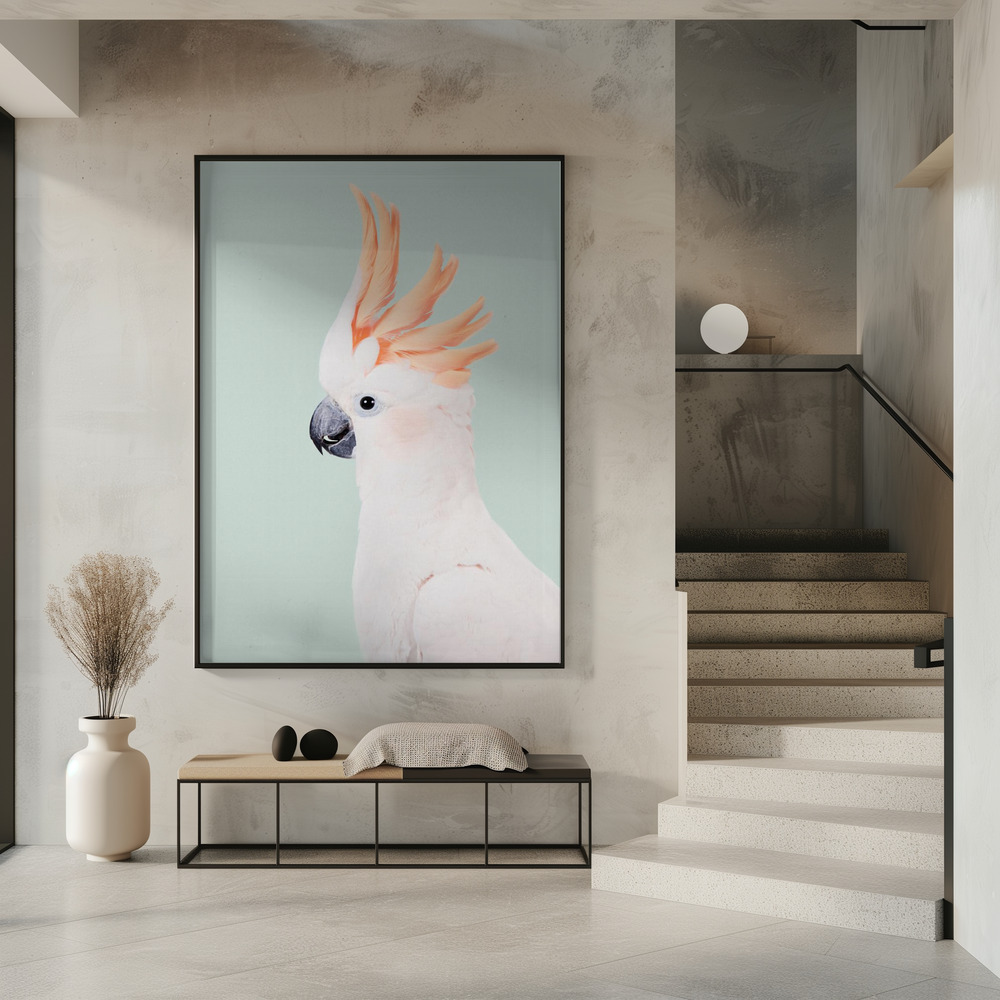 Poster - Cockatoo in entrance