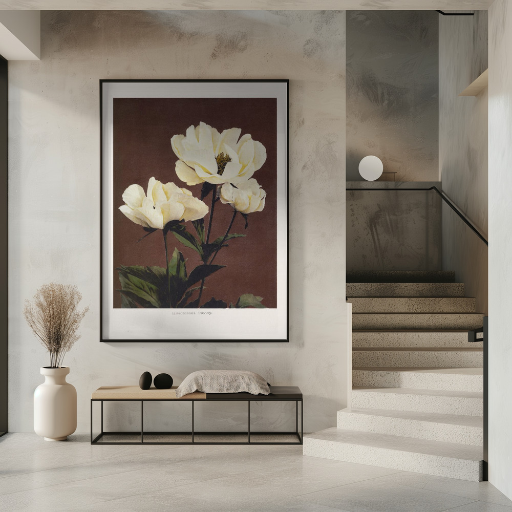 Juliste - Hærdaceous Peony sisäänkäynnillä