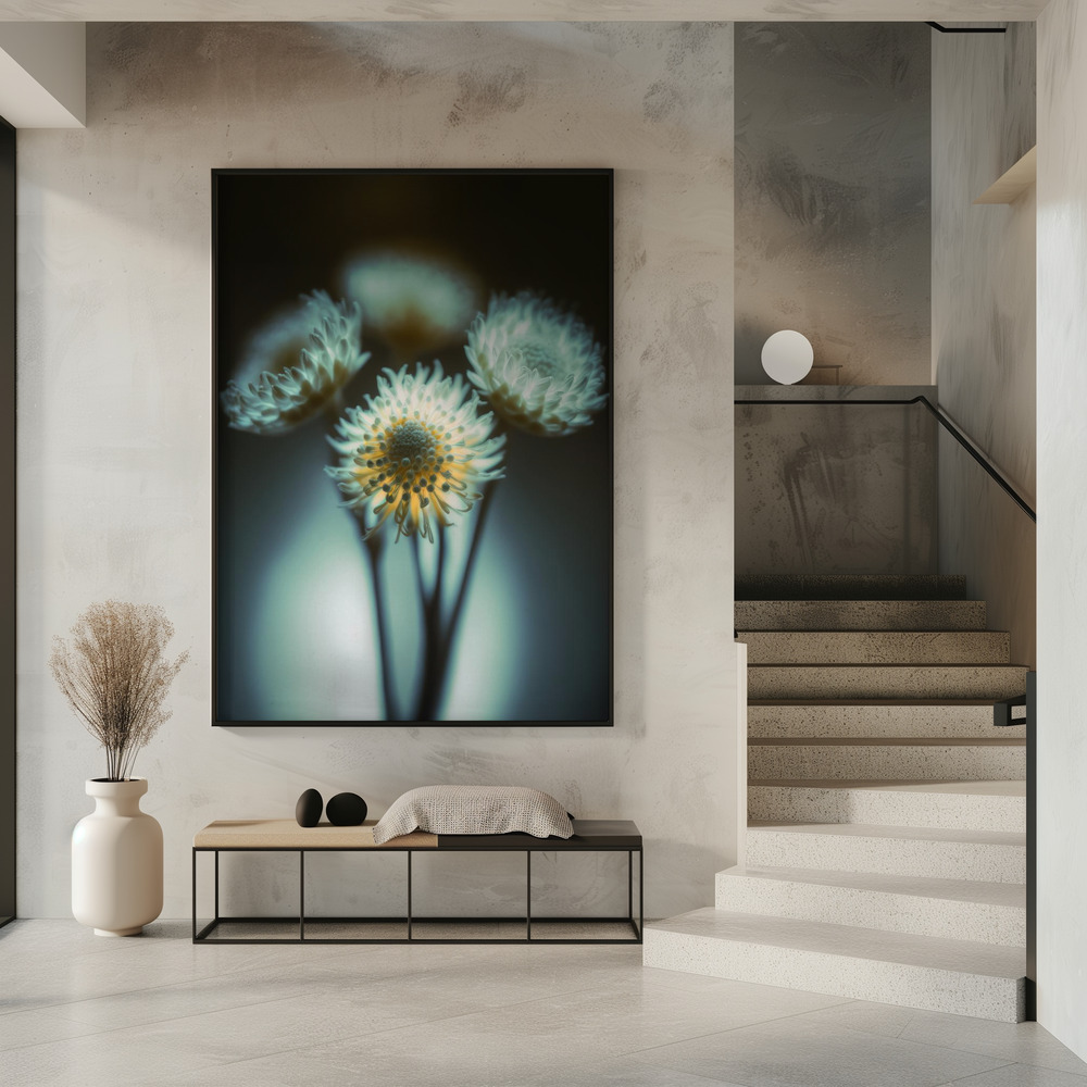 Poster - Low Light in entrance