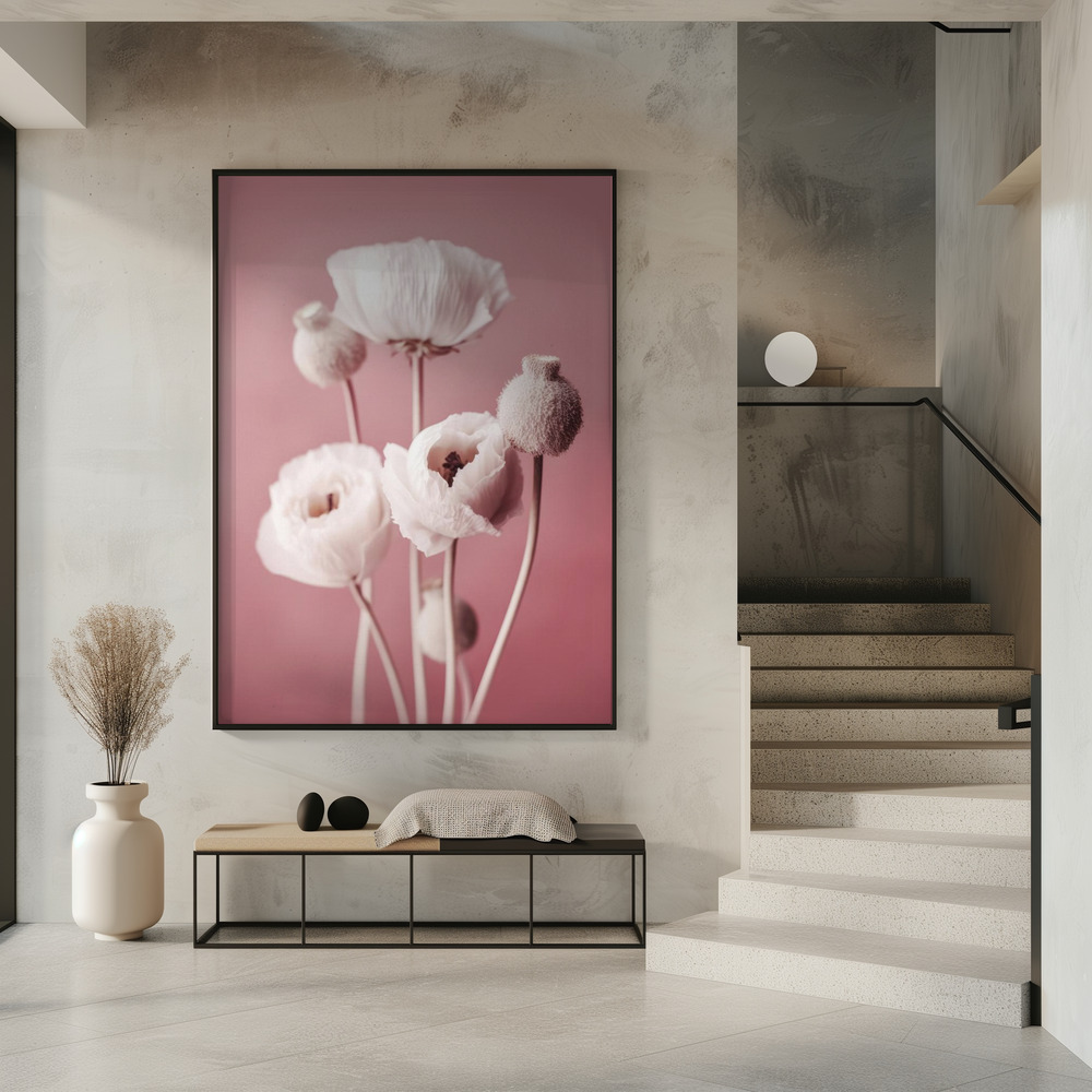 Poster - White Poppy On Pink Background in entrance