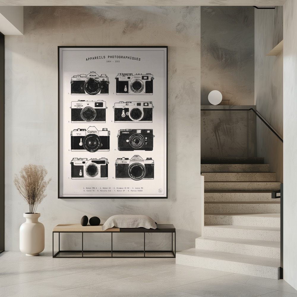 Affiche - Appareils Photographiques dans l'entrée