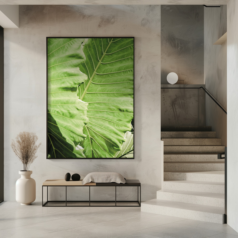 Poster - Elephants Ears in entrance