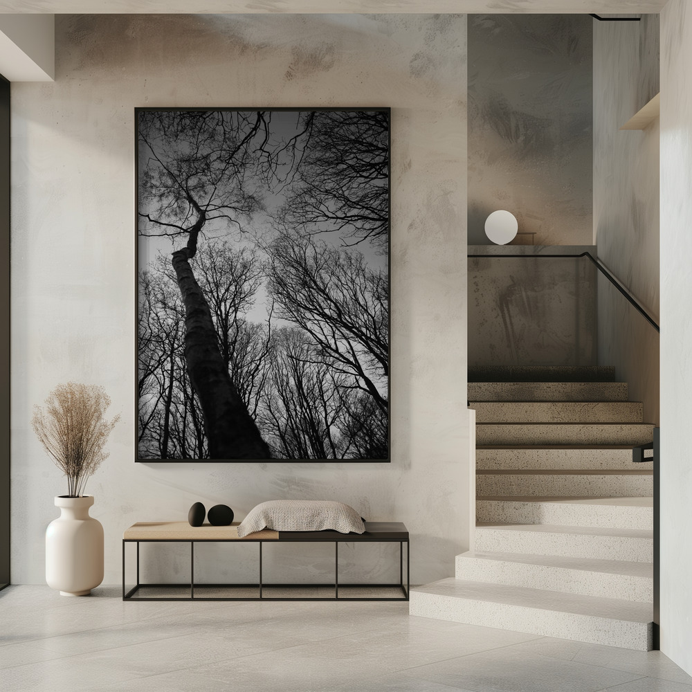 Poster - Everglades im Eingang