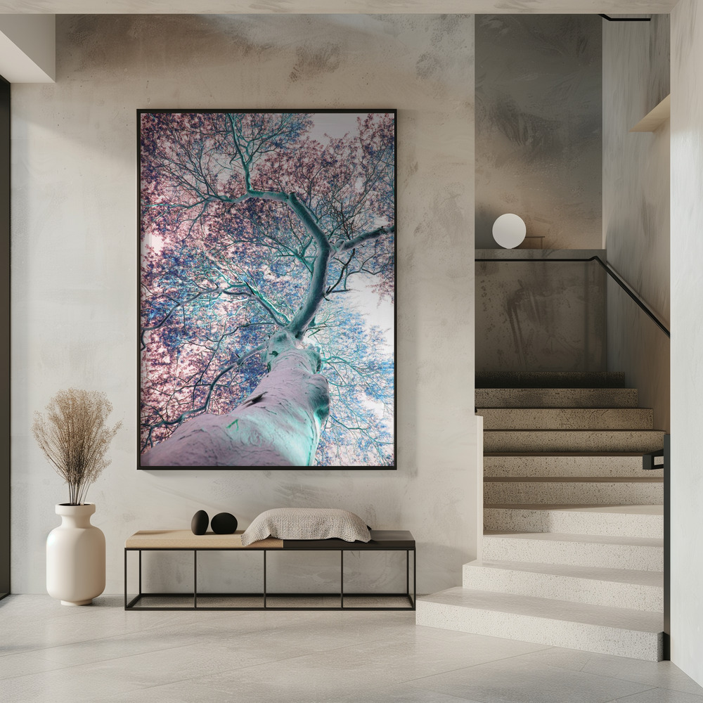Poster - Fever Tree in entrance