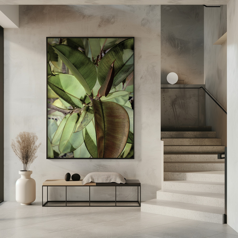 Plakat - Ficus Elastica i indgangen