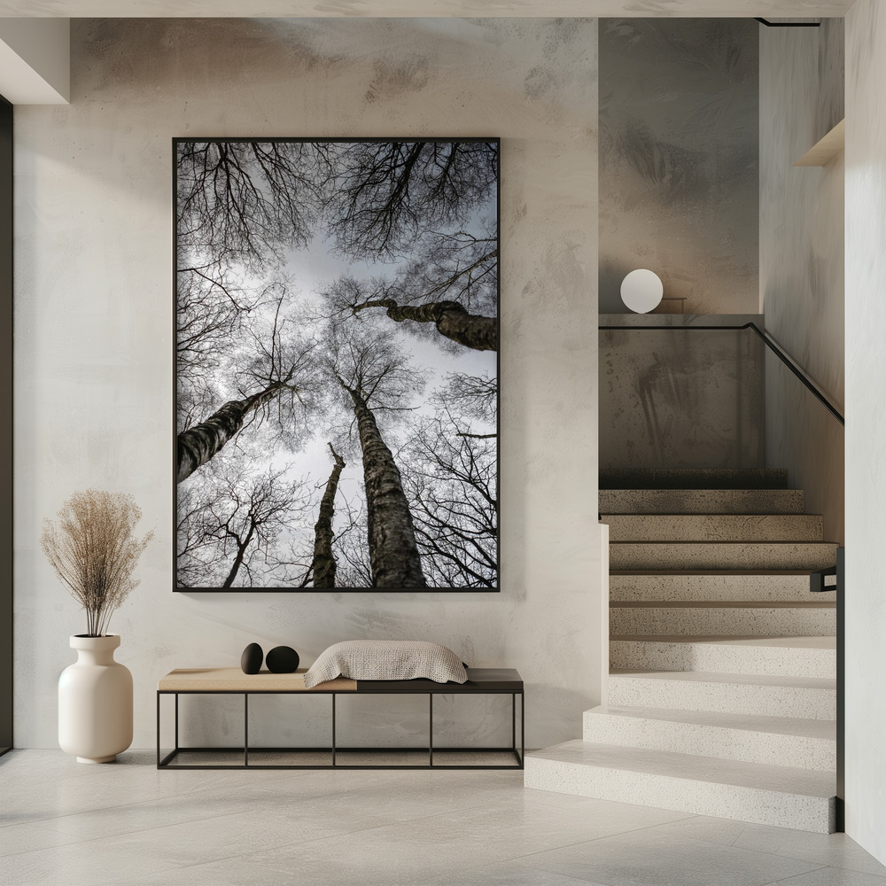 Poster - Forest No1 im Eingang
