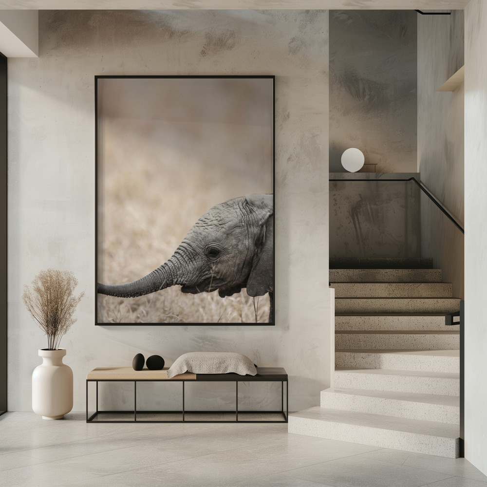 Poster - Jellybaby in entrance