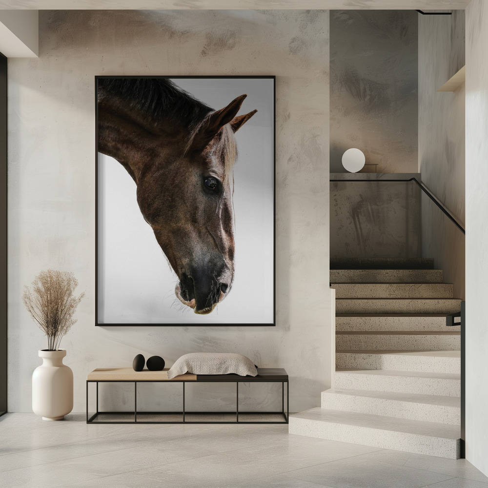 Poster - Kalimazoo in entrance