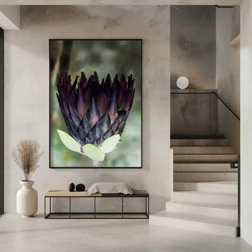 Poster - King Protea 01 in entrance