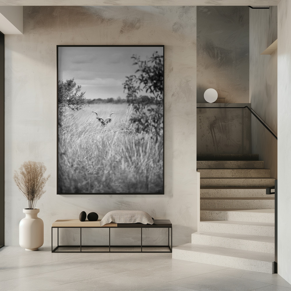 Poster - Kudu in entree