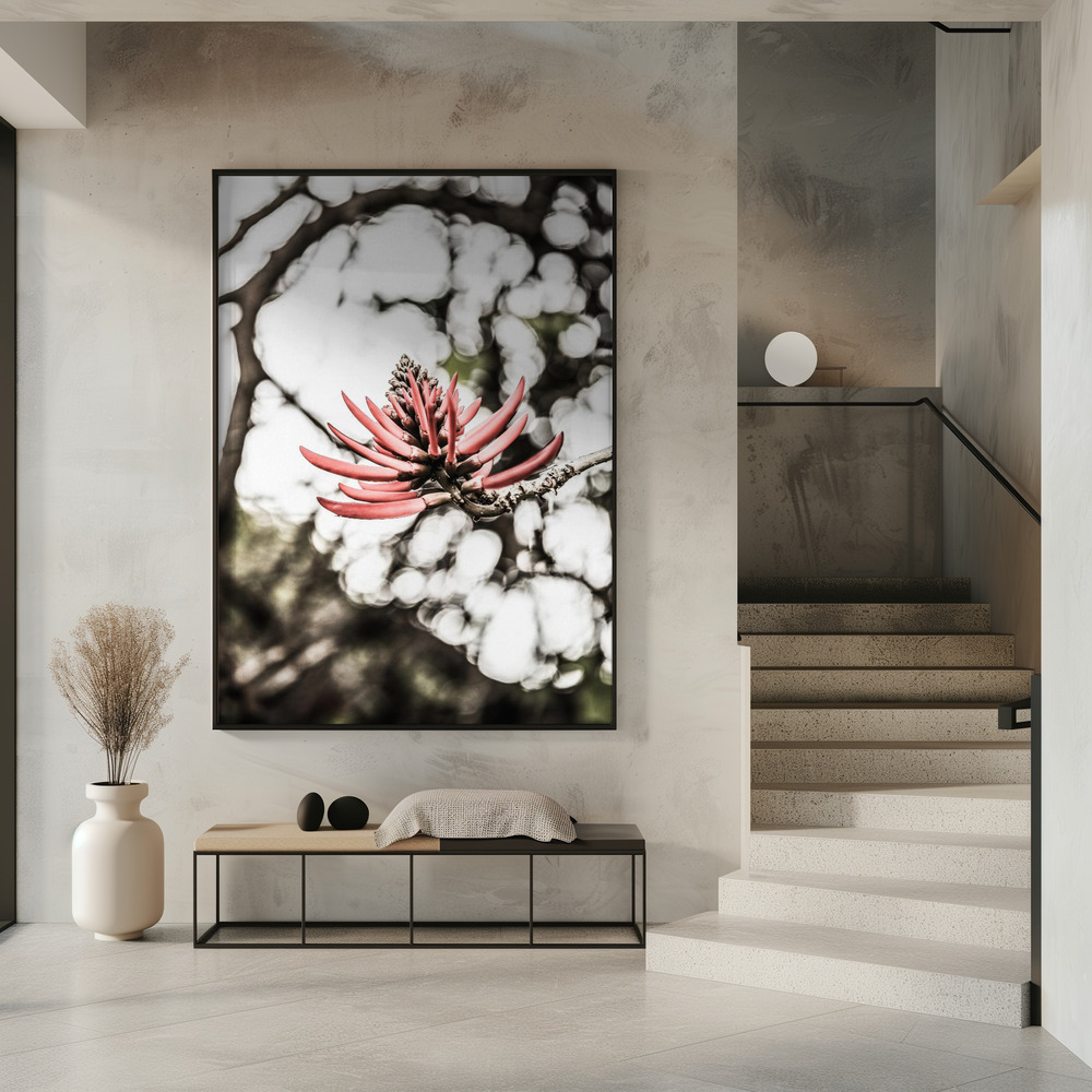 Plakat - La Coral i indgangen