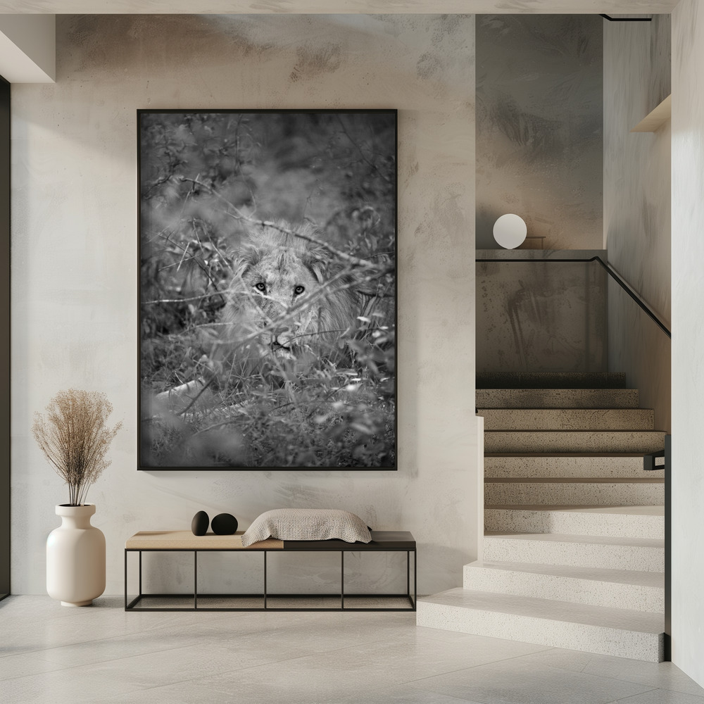 Poster - Lion in entrance