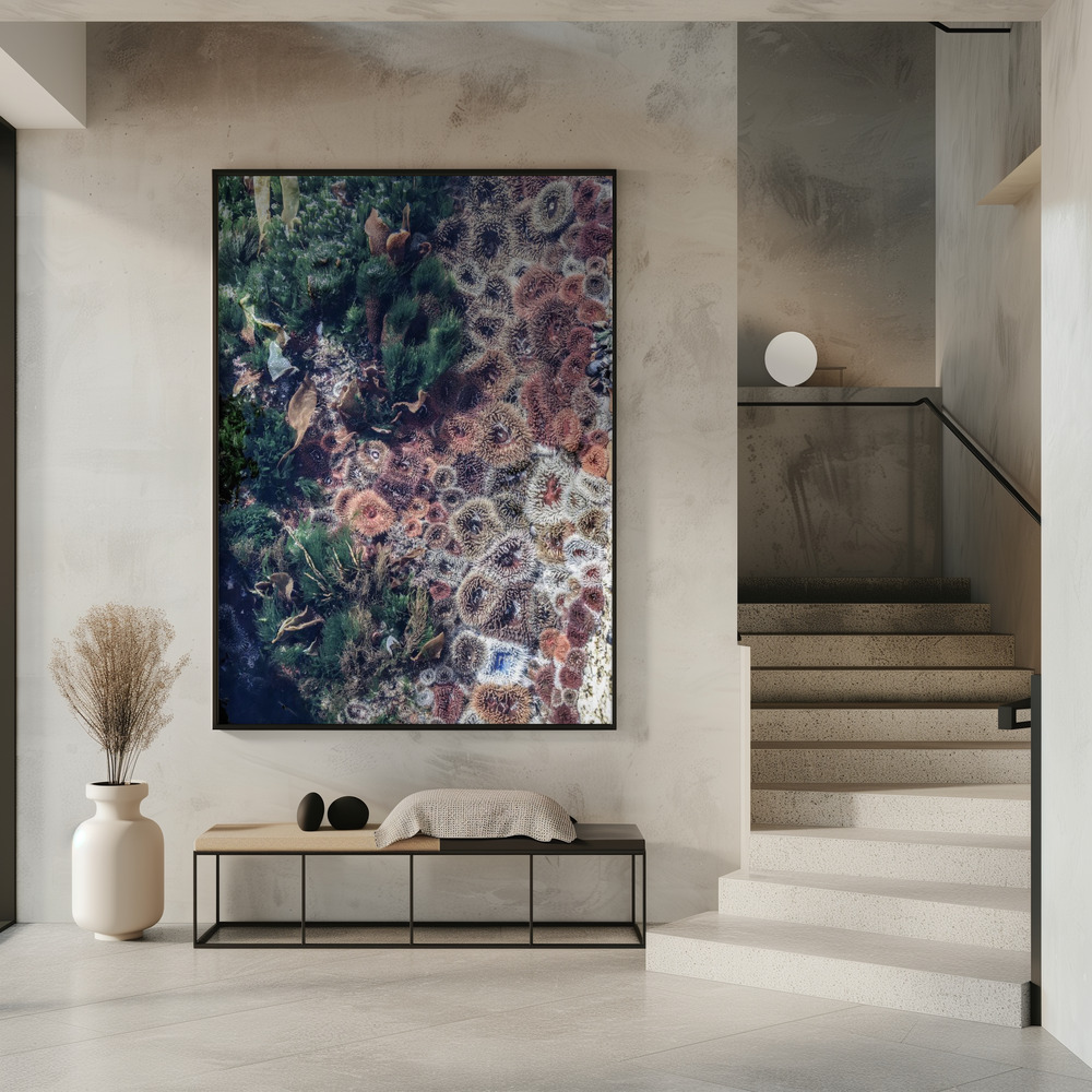 Poster - Ocean Curiosities in entrance