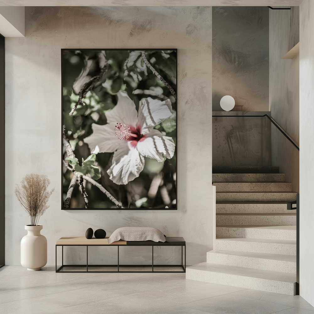 Poster - Pale Pink Hibiscus in entrance