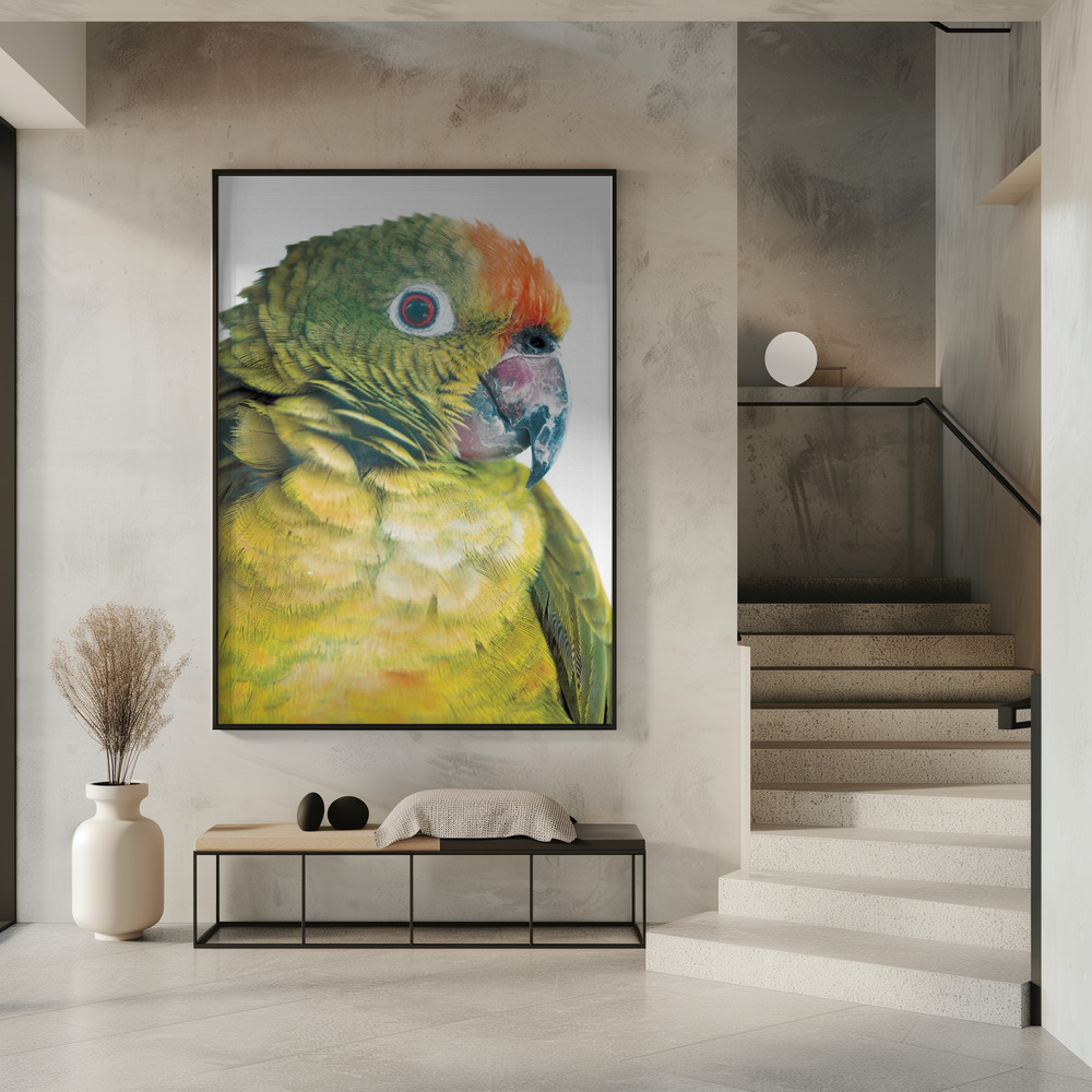 Poster - Parrot in entrance