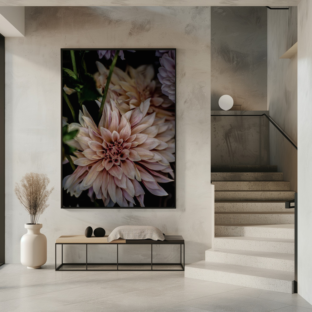 Plakat - Queen of the Night i indgangen