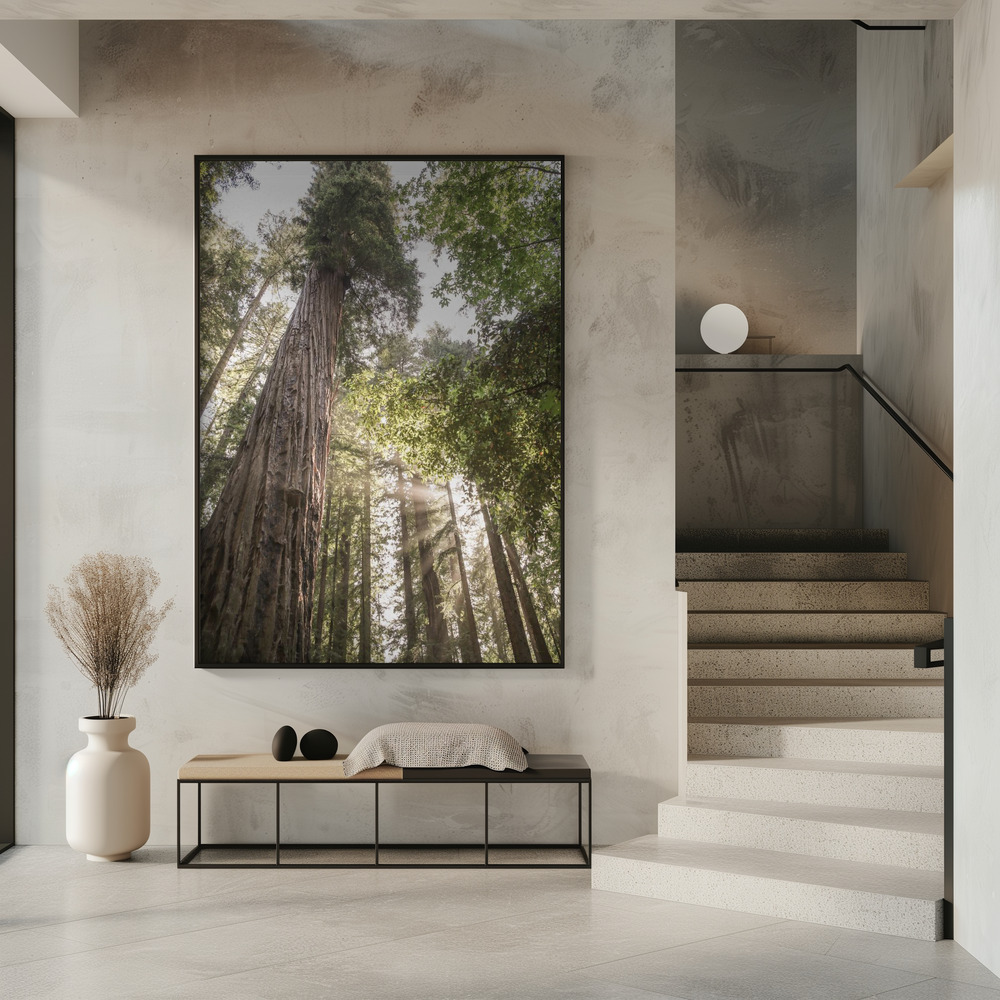 Poster - Redwoods in entrance