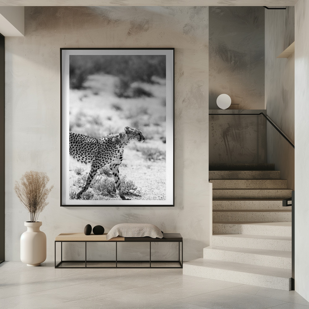 Poster - Safari Katjpg in entrance