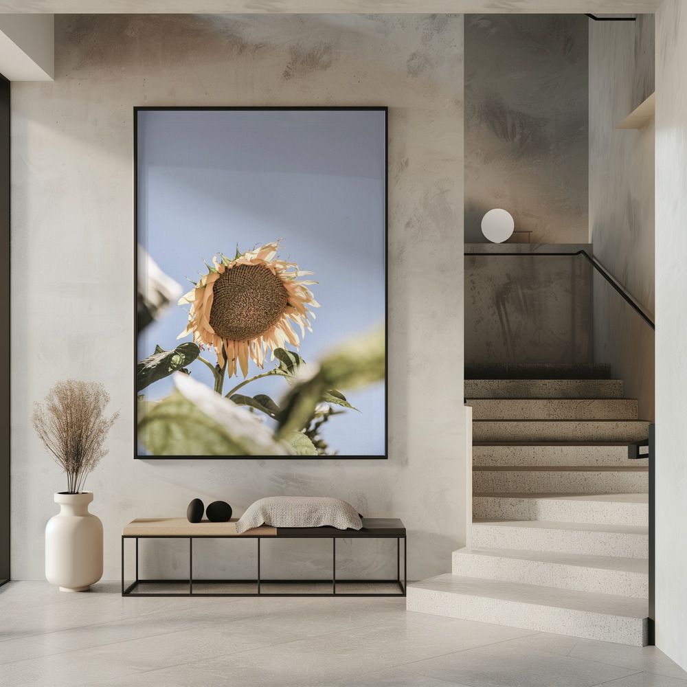 Affiche - Sun Bloom dans l'entrée