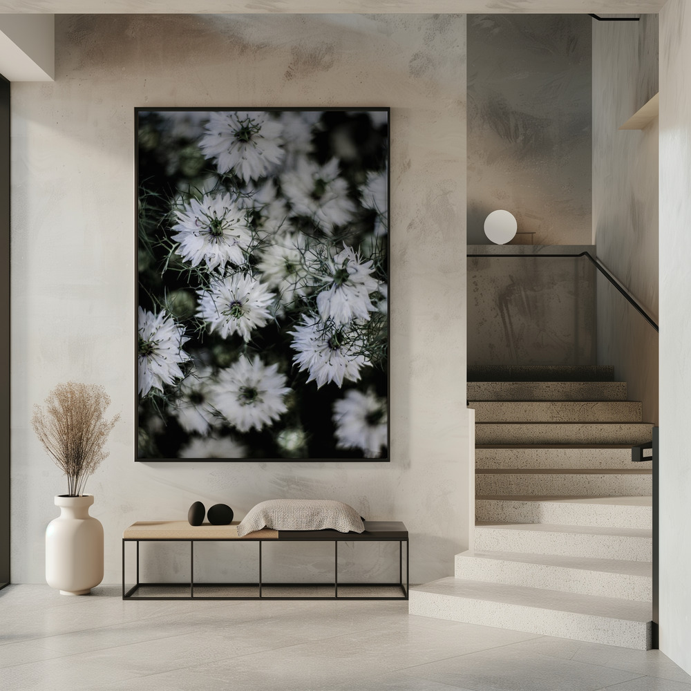 Poster - Wild Daisey in entrance