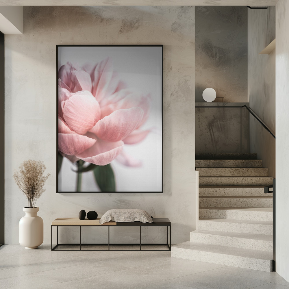 Poster - Peony 3 in entrance