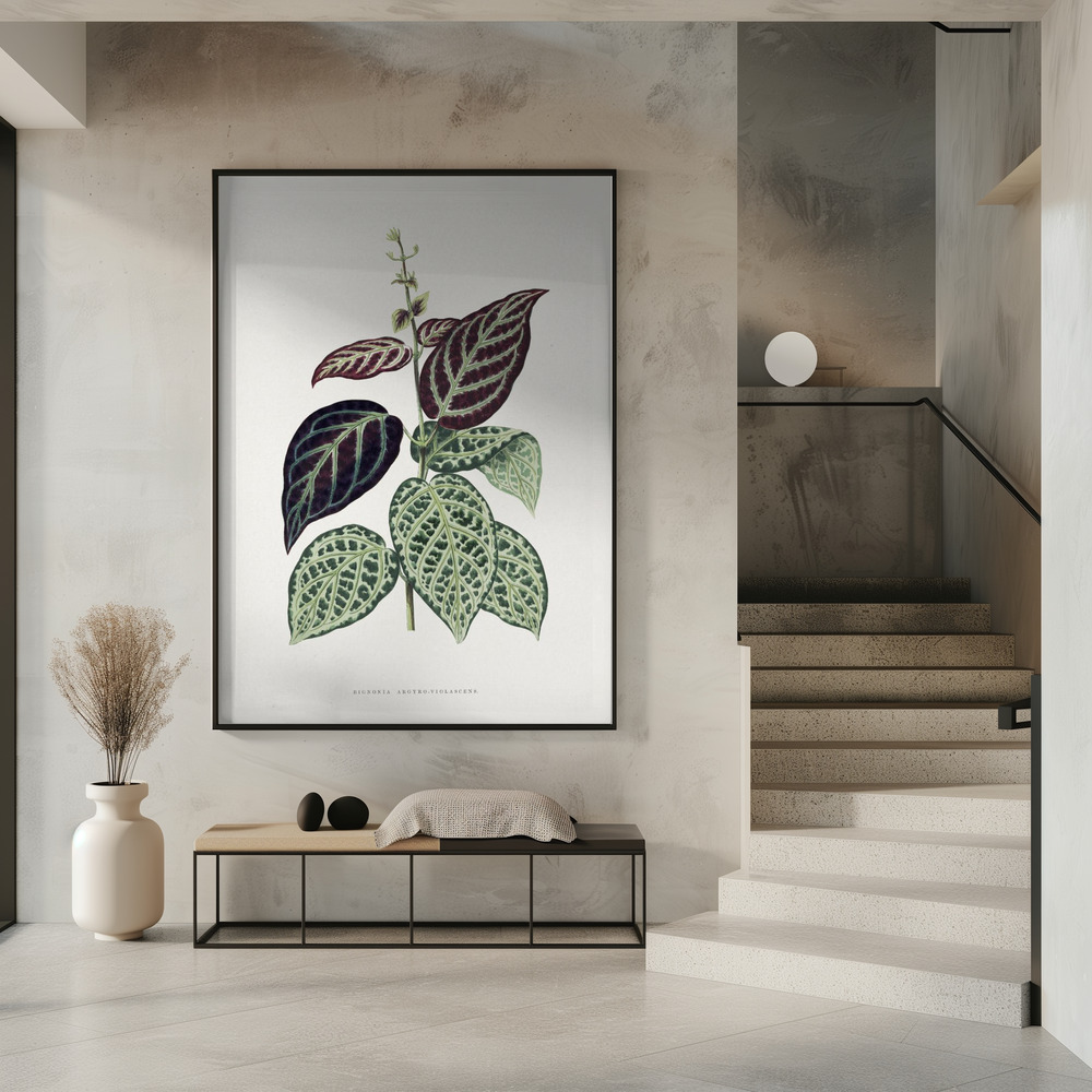 Poster - Green Bignonia Argyro Violascens Leaf Illustration in entree