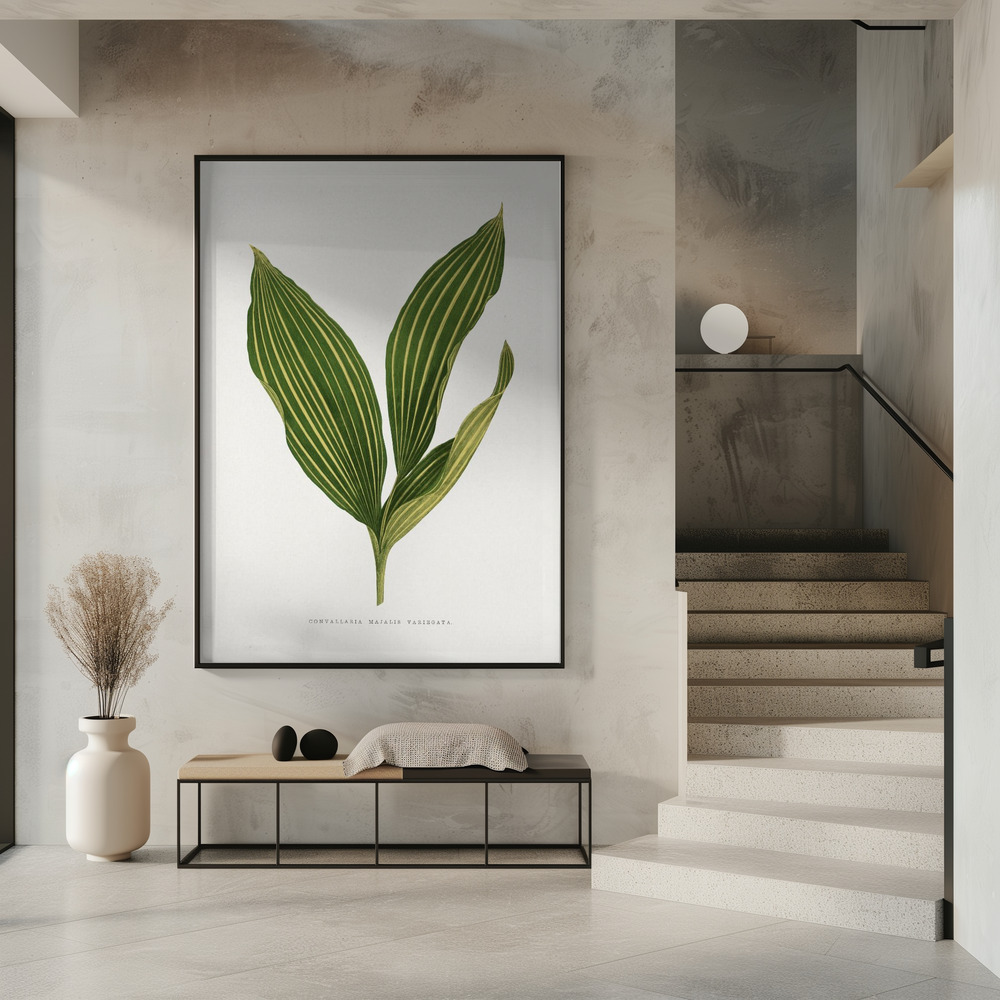 Juliste - Lily of the Valley Leaf Illustration sisäänkäynnillä