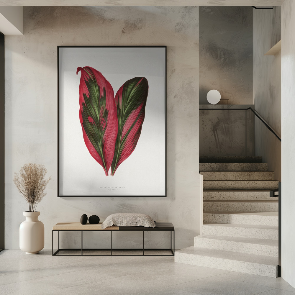Juliste - Pink Dracaena Terminalis Leaf Illustration sisäänkäynnillä