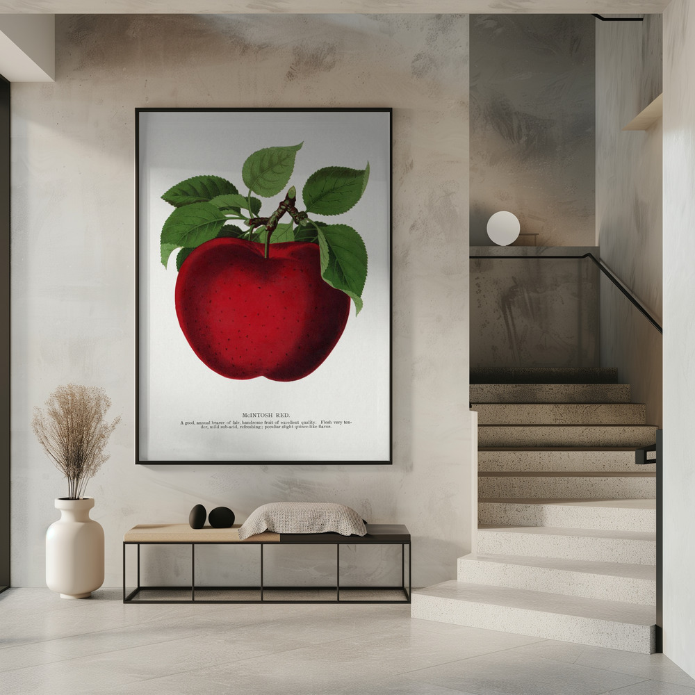 Poster - Mcintosh Red Apple Lithograph in entrance