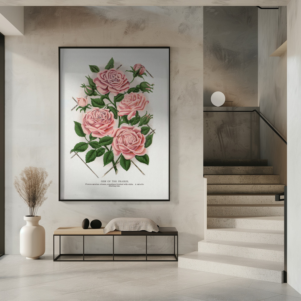 Juliste - Pink Rose, Gem of the Prairie Lithograph sisäänkäynnillä