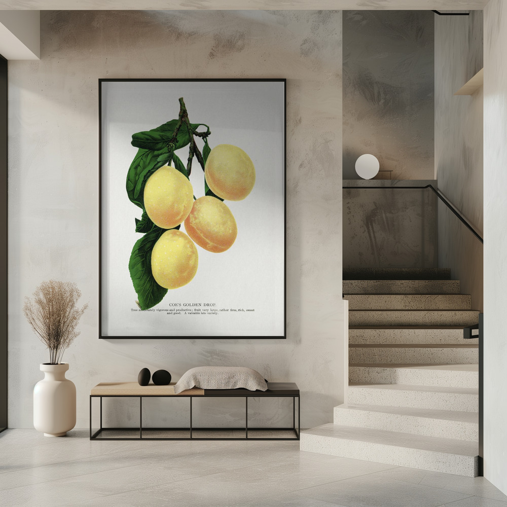 Poster - Coe's Golden Drop Plum Lithograph in entrance