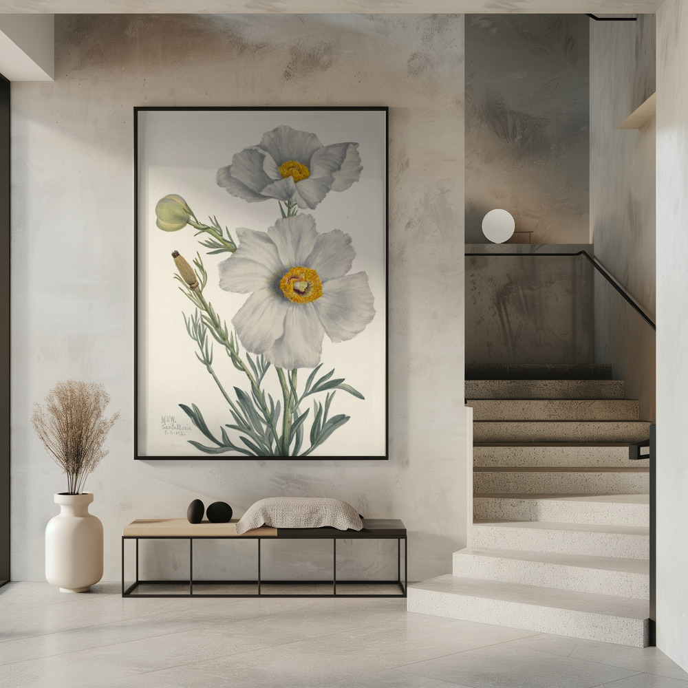 Affiche - Matilija Poppy dans l'entrée