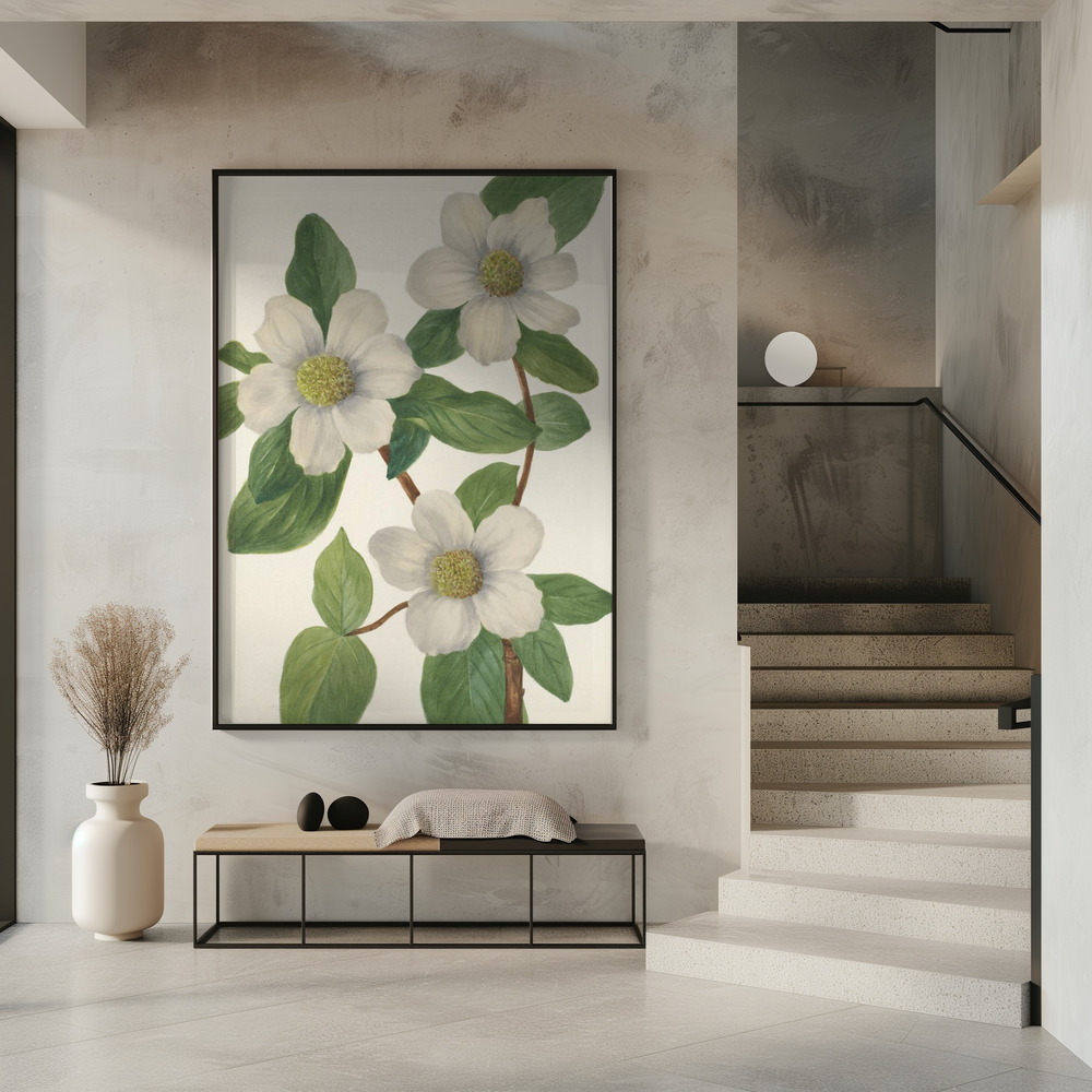 Affiche - Pacific Dogwood dans l'entrée