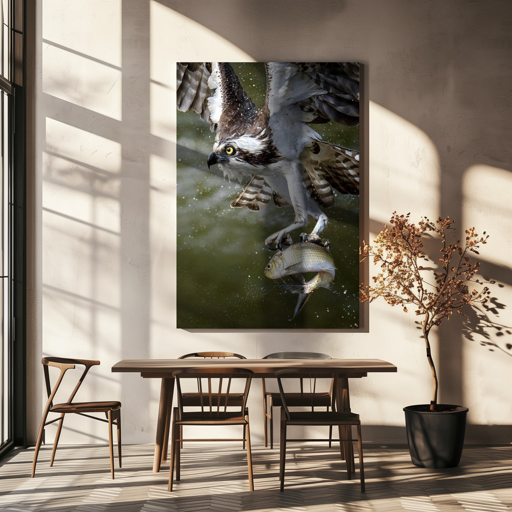 Canvas print - Osprey over dining table