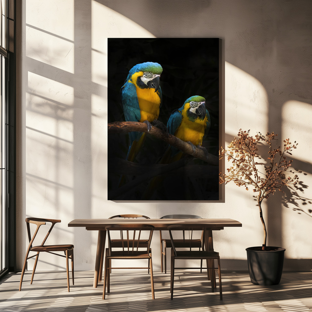Stampe su tela - Macaw Parrots sopra il tavolo da pranzo