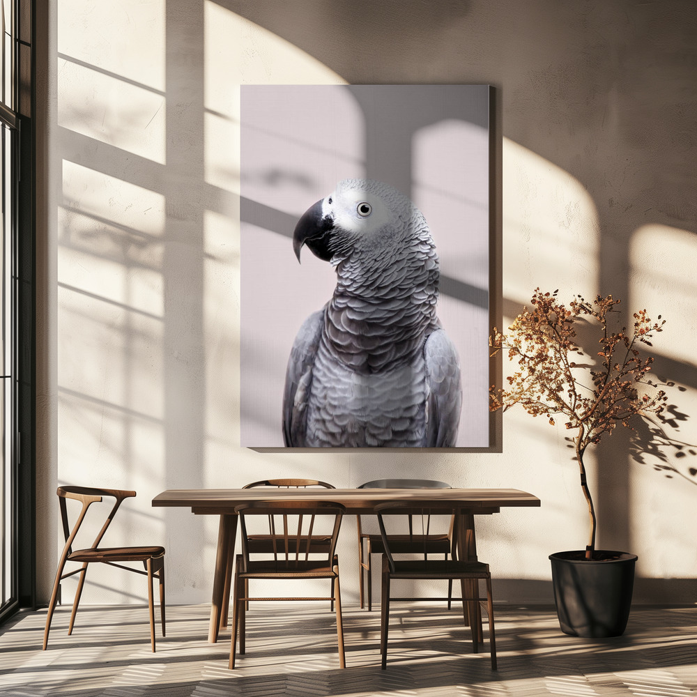 Lienzo - African Grey sobre la mesa del comedor