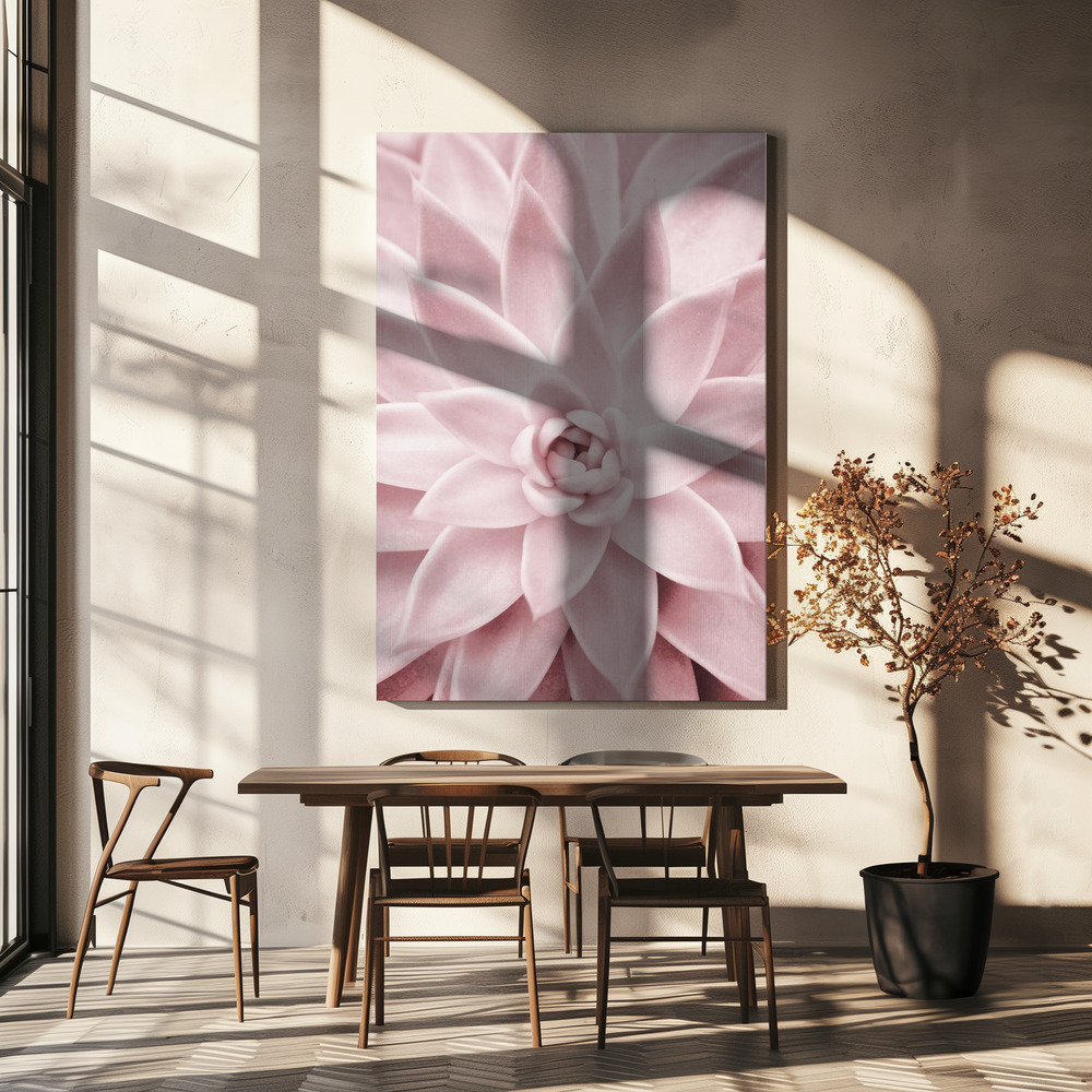 Canvas print - Pink Succulent over dining table