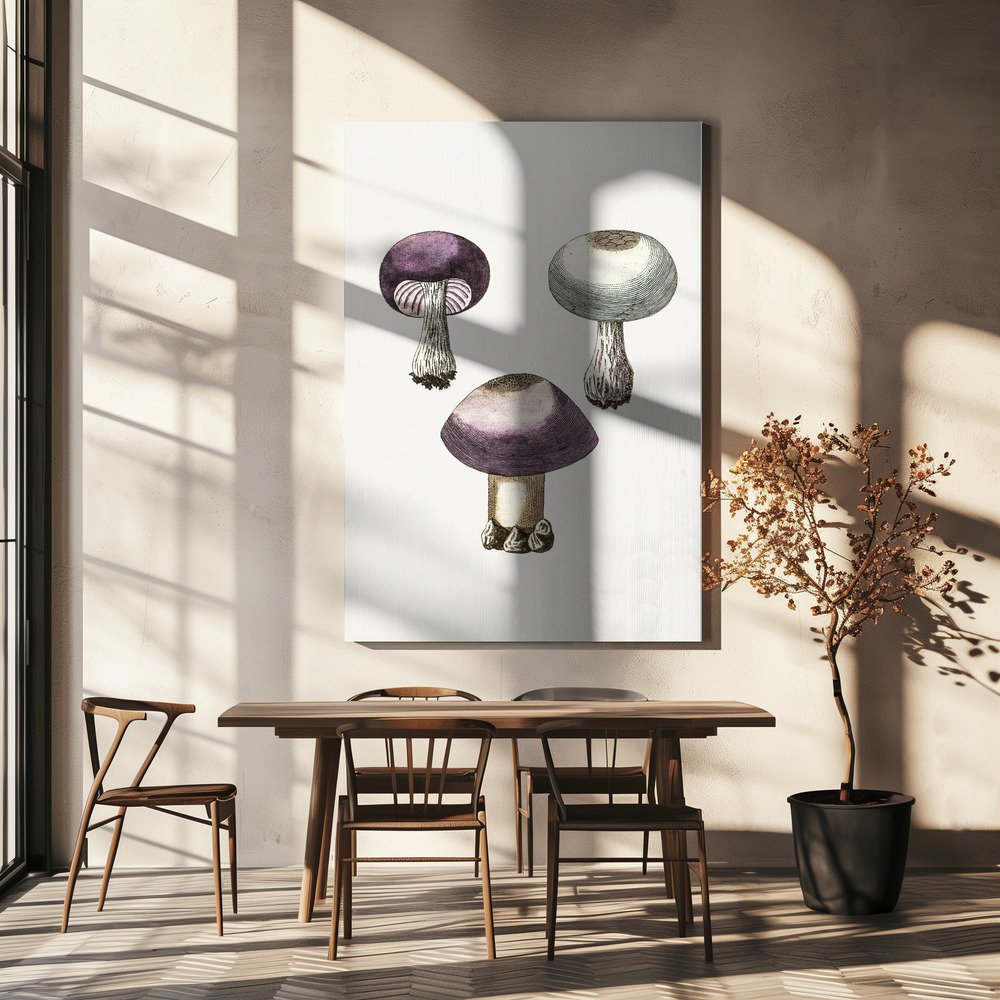 Canvas print - Hand Darwn Violet Webcap Mushroom over dining table