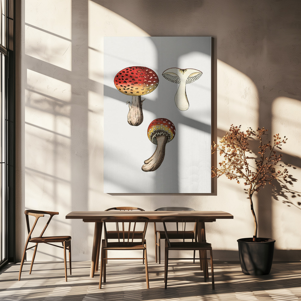 Canvas print - Hand Drawn Fly Agaric Mushroom over dining table