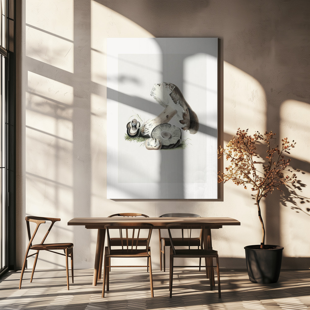 Canvas print - Vintage Agaricus Augustus Mushroom 50x70 over dining table